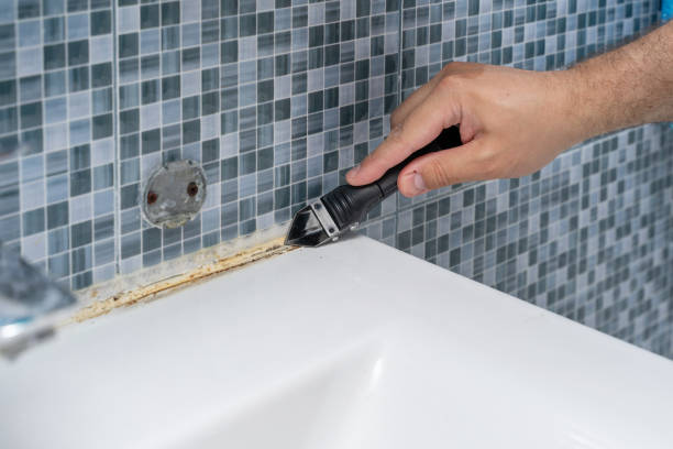Best Mold Remediation  in Oneonta, NY